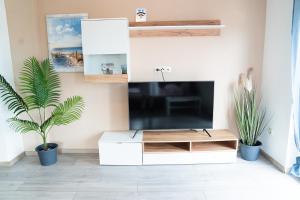 a living room with a tv and a white entertainment center at APARTMAN D&D , KRK-VRH in Vrh