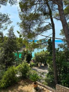 a view of the ocean from a park with a potted plant at Apartment Oja in Malinska