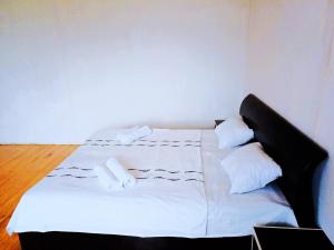 Fotografie z fotogalerie ubytování Matsantsara v destinaci Telavi