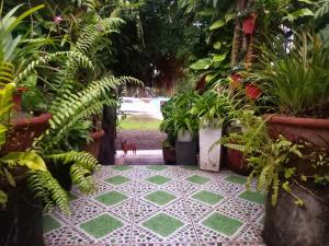Gallery image of Hidden Tourist Inn in Mambajao