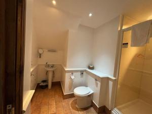 a small bathroom with a toilet and a sink at True Lovers Knot in Blandford Forum