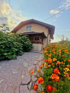 Foto dalla galleria di Unique Una a Ripač