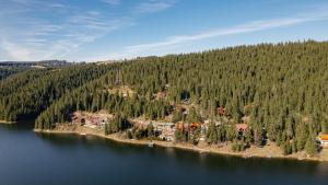 RişcaPerla Lacului的从空中俯瞰湖中岛屿上的一栋房屋