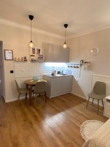 Kuchyň nebo kuchyňský kout v ubytování Apartment 42 - City Center