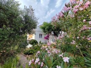 Zahrada ubytování Bed & Breakfast Josip