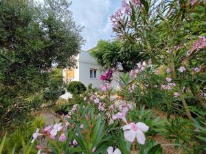 Zahrada ubytování Bed & Breakfast Josip