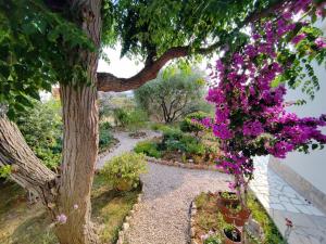 Zahrada ubytování Bed & Breakfast Josip