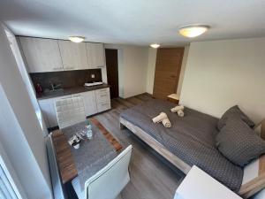 Kuchyň nebo kuchyňský kout v ubytování Hotel Krone