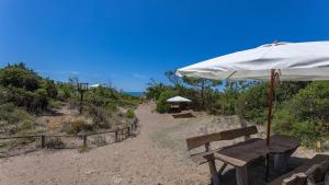 un banco con sombrilla en la playa en Gardenia, en Sassetta