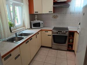 Kuchyň nebo kuchyňský kout v ubytování Apartment Patricia