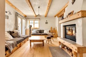 克拉尼斯卡戈拉Chalet Vitranc的带沙发和壁炉的客厅