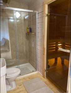 a bathroom with a glass shower and a toilet at Langdale Lodge in Inverness