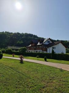 a house with a walkway in front of a yard at Casa Loredana in Vadu Izei +8 photos