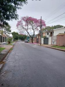 an empty street with a tree with pink flowers at Kit net 02 quarto e cozinha espaço exclusivo cama casal e cama solteiro in Maringá