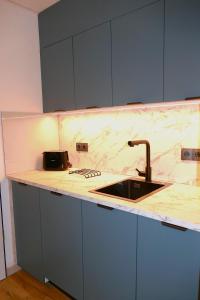 een keuken met een spoelbak en een aanrechtblad bij Karls Apartment B14 in Gera