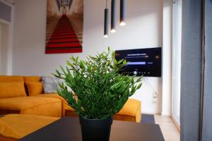 a plant sitting on a table in a living room at Karls Apartment B14 in Gera