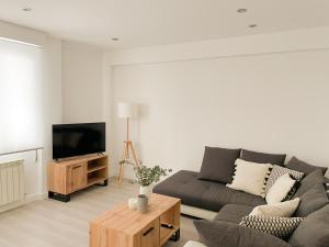 a living room with a couch and a tv at Apartamento Boza in Logroño