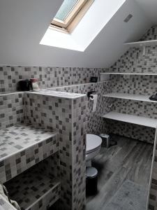a bathroom with a toilet and a skylight at Apartment Loft Pejić - open space loft studio near Bovec, Soča Valley in Bovec +18 photos