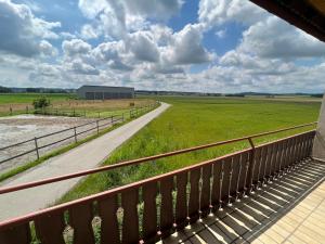 a view from a balcony of a farm with a road and a field at Ferienhaus am Schorren in Bad Schussenried