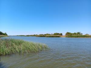 Afbeelding uit fotogalerij van appartement tiszameer in Tiszaderzs