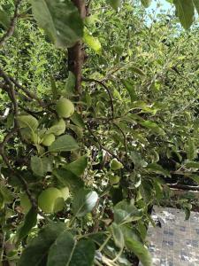 Gallery image of Serene Luxury Home,Stunning View in Imlil