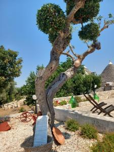 A garden outside Trullo Monte Del Sale