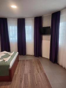 TV a/nebo společenská místnost v ubytování Hotel Denis