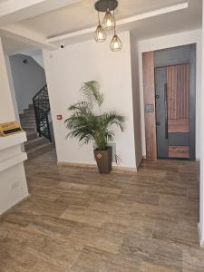a hallway with a potted plant and a staircase at La Vida Apartments in Babalonija