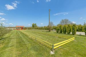 Vonkajšia záhrada v ubytovaní Rural Homestead Trenkovo - Happy Rentals