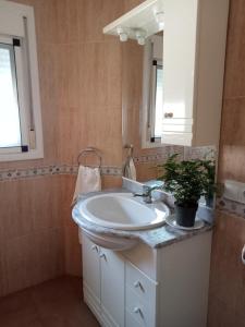 a bathroom with a sink and a potted plant at Flor de Olivo in Puente de Génave +24 photos