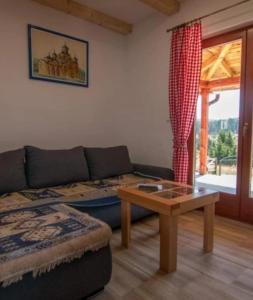 a living room with a couch and a coffee table at Planinske kuće Anika Tara minimum 2 noćenja in Mitrovac