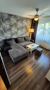 a living room with a couch and a table at Mike Rent Apt in Baia Mare