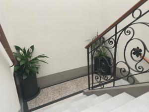 a staircase with a wrought iron railing and a plant at Palazzo Bracciolini Nel cuore della città in Pistoia