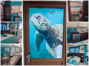 Foto sihtkohas Puerto Villamil asuva majutusasutuse Sun Island galeriist