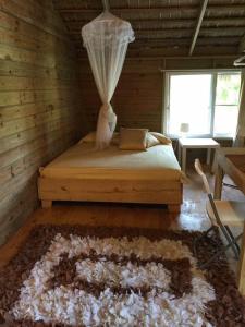 a bedroom with a bed with a curtain on it at Mango House Detox studio in Cabarete