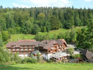 an aerial view of a hotel in a forest at Landhotel Untere Kapfenhardter Mühle in Unterreichenbach