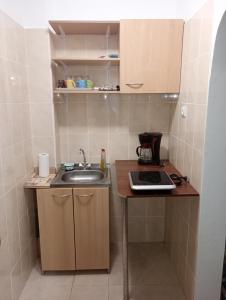 a small kitchen with a sink and a laptop on a counter at Garsoniera Adriana in Băile Herculane +3 photos