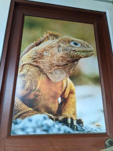 Foto sihtkohas Puerto Villamil asuva majutusasutuse Sun Island galeriist