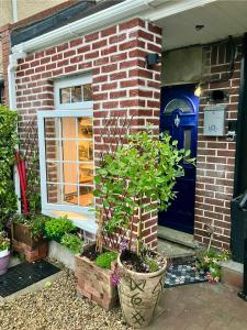 uma casa de tijolos com uma porta azul e uma planta em Studio at 39 em Dublin
