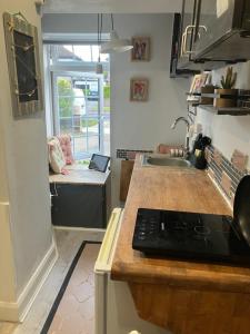 a kitchen with a sink and a counter top at Studio at 39 in Dublin