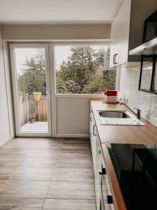 a kitchen with a sink and a large window at Wohnen im Ländereck! Essen-Mülheim-Oberhausen! BS2L in Essen