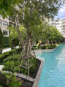 a pool with a tree next to a building at La Casita Hua-Hin By 95 Group in Hua Hin