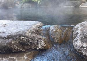 Paesaggio naturale nelle vicinanze del ryokan