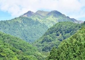 Paesaggio naturale nelle vicinanze del ryokan