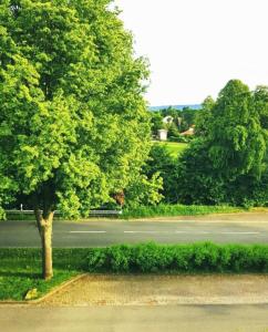 een boom aan de kant van een weg bij Tetzlaff - Ferienwohnungen am Deister, FeWo 1 mit Balkon in Bad Münder am Deister