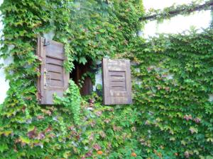 an ivy covered building with two open windows at Villa Anna Maria in Agia Paraskevi