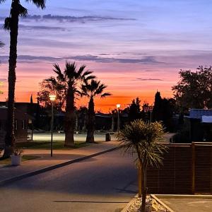 una strada vuota con palme e tramonto di Bungalow M027 chez D&D a Torreilles