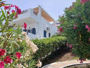 Kapetaniou Apartments外面的花园