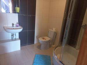 a bathroom with a toilet and a sink and a shower at Robi pokoje i apartament in Łeba