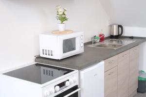 Kuchyň nebo kuchyňský kout v ubytování Apartmány Na Kovárně Rájov